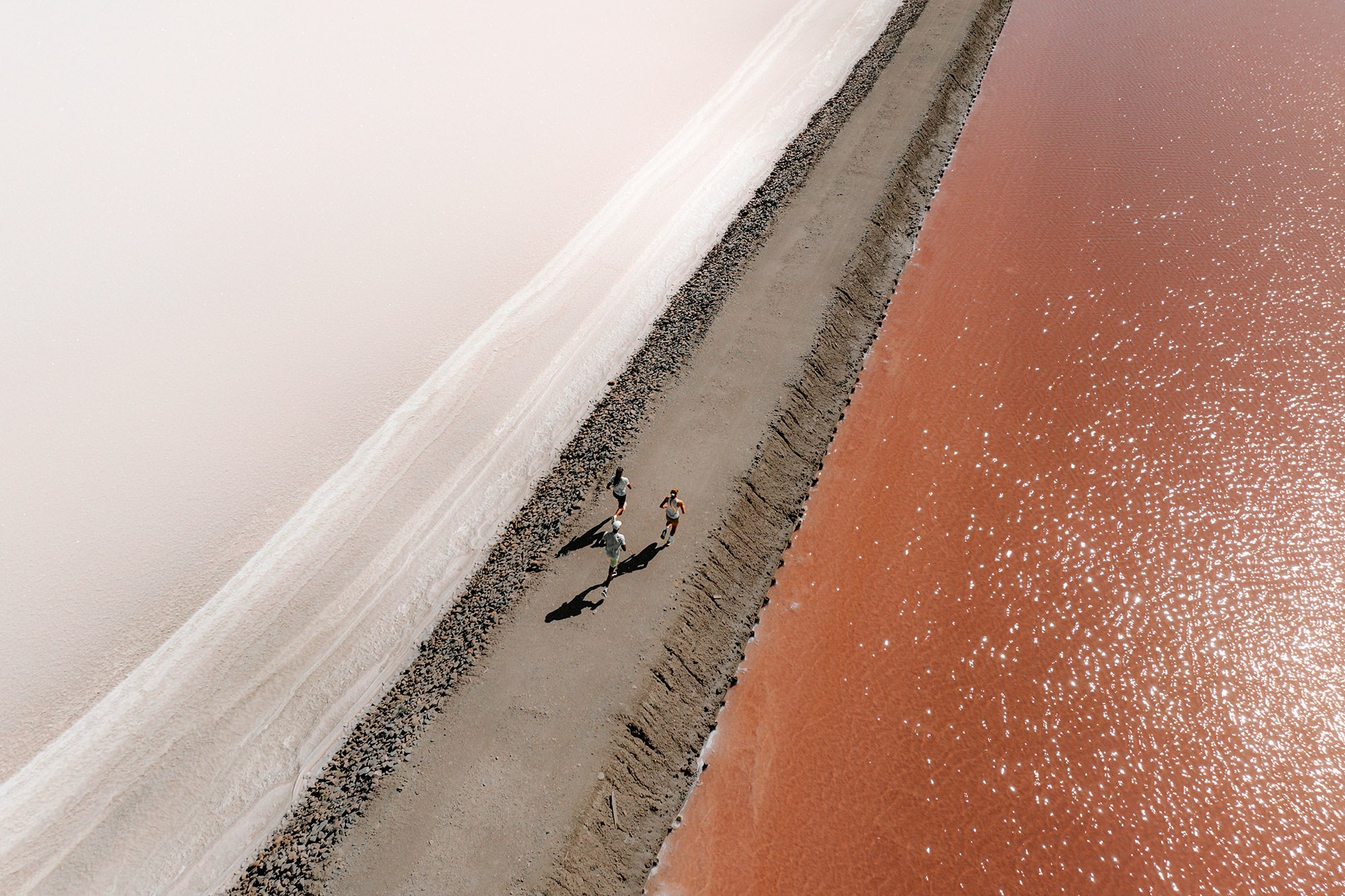 Dynamic low-angle view of runners in motion on a forest trail, highlighting SCOTT Pursuit Gravel shoes and the immersive running experience with SCOTT Sports.