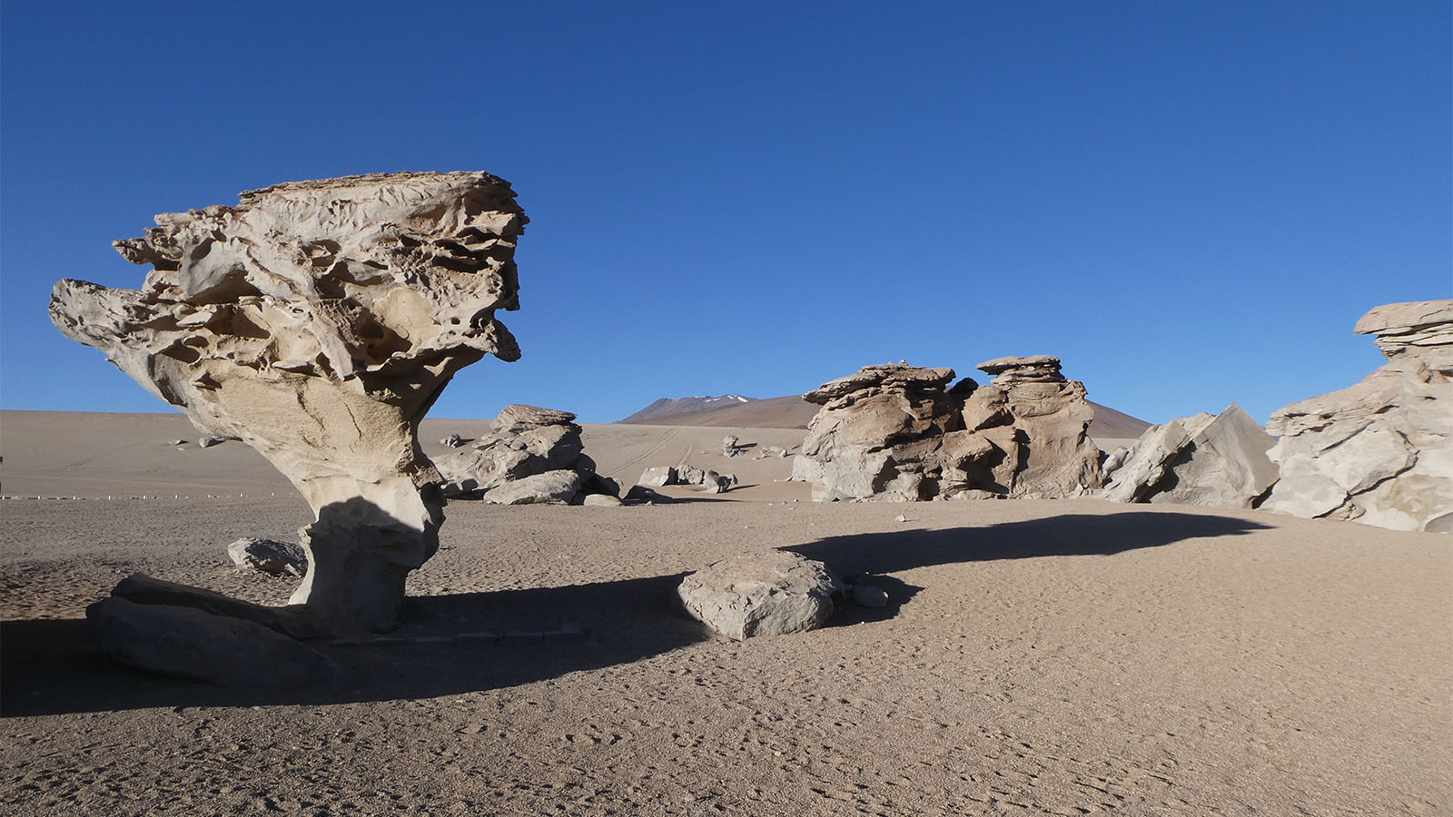  Bolivia, Andes - Highlands of the Andes - Scott Travel