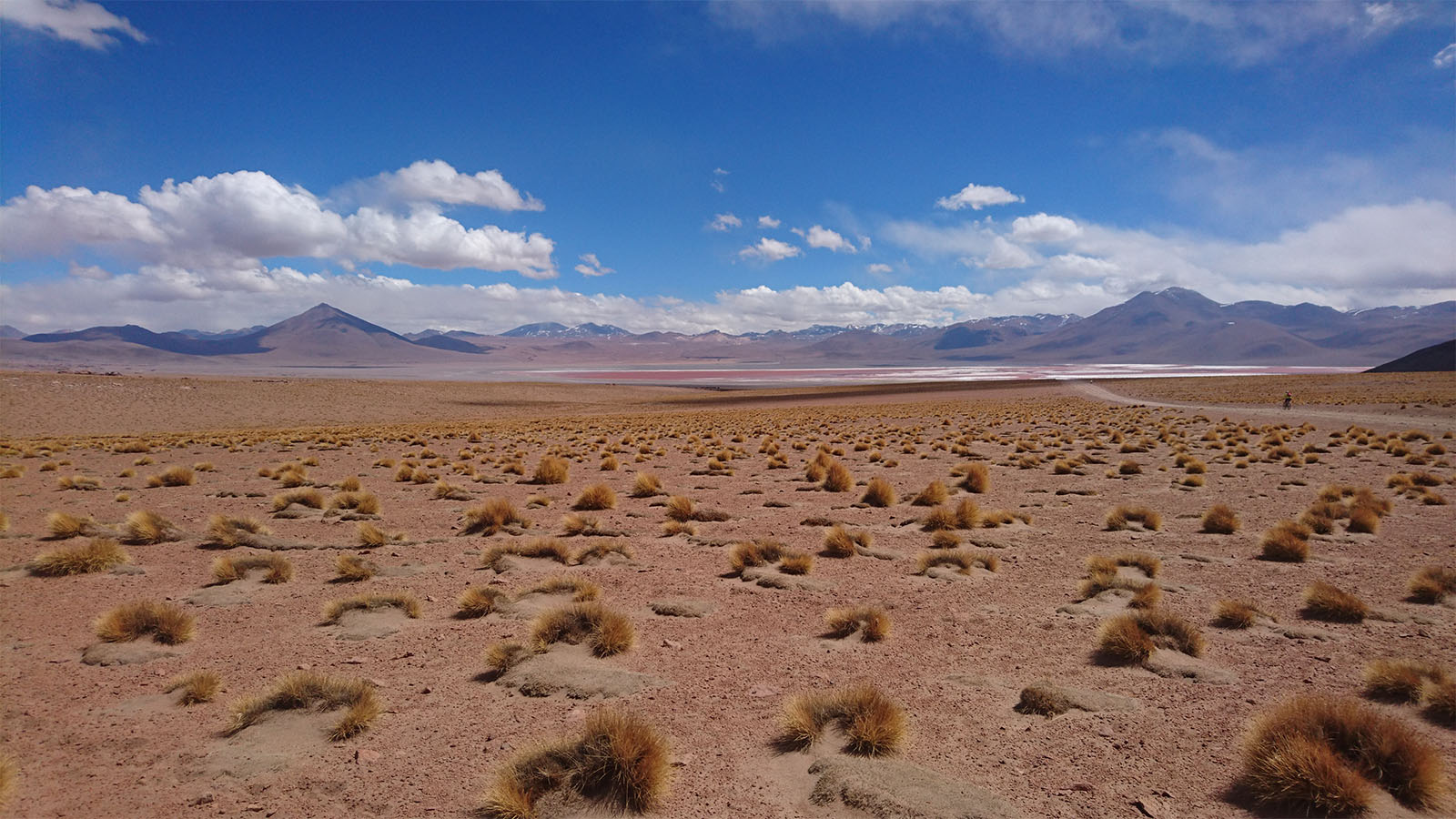  Bolivia, Andes - Highlands of the Andes - Scott Travel