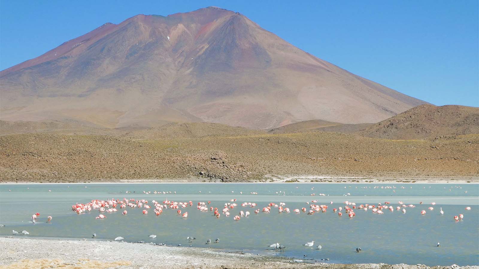  Bolivia, Andes - Highlands of the Andes - Scott Travel