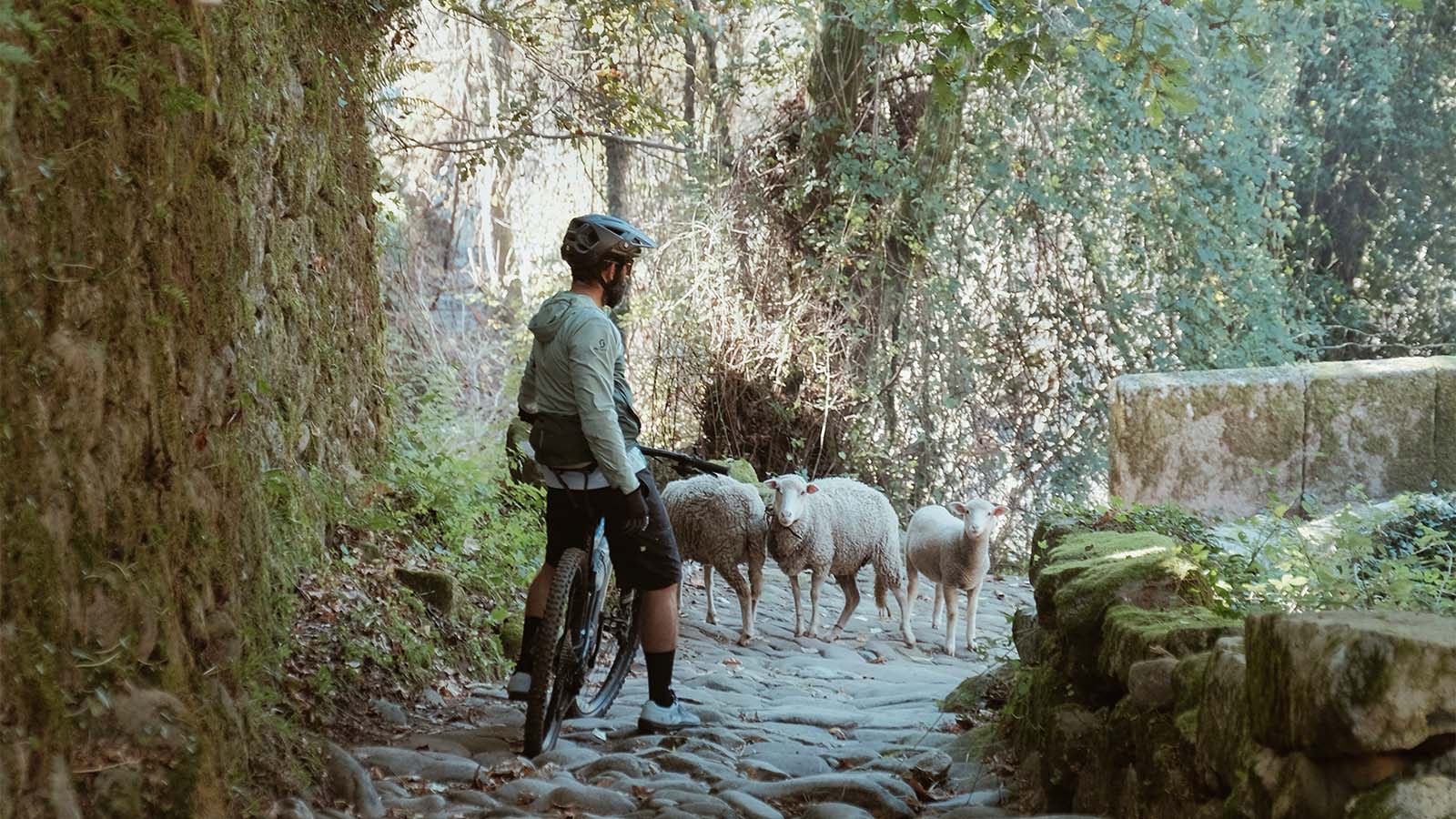 Viana, Portugal - From Sea to Summit with SCOTT