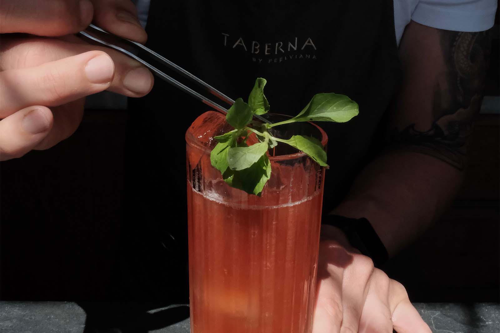 Day 1: Sea to Summit