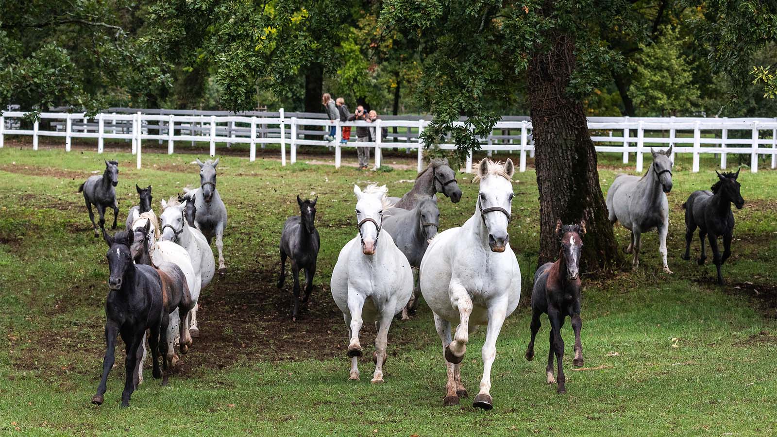 By Gravel bike from the alps to the Mediterranean Sea