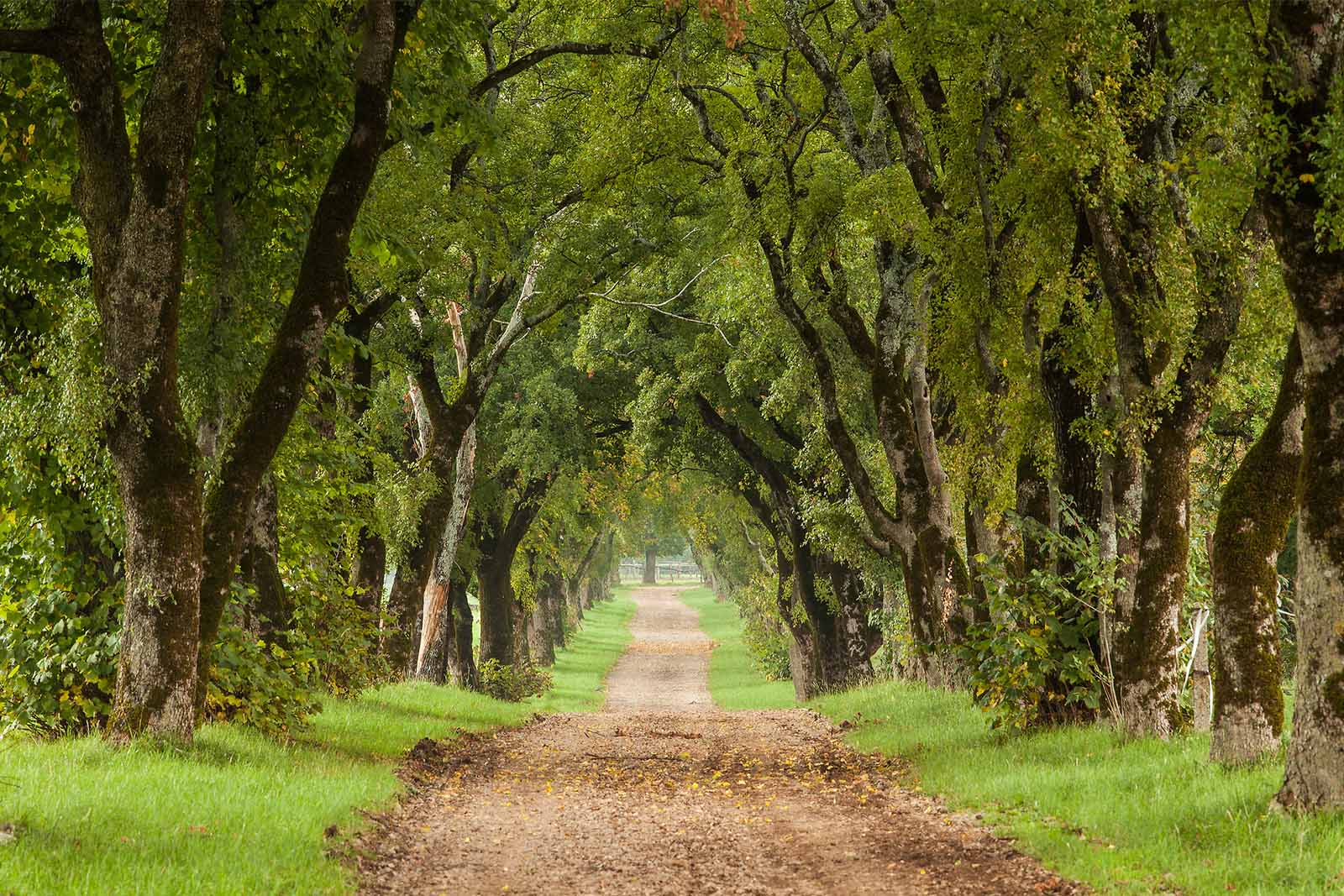 By Gravel bike from the alps to the Mediterranean Sea
