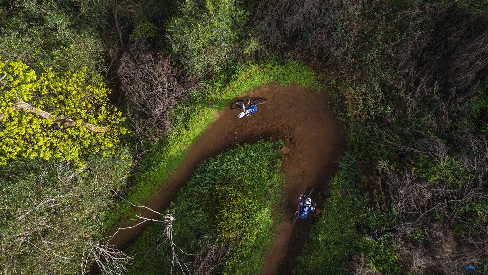 Paarl, Cape Town, South Africa  - Ladies MTB skills camp