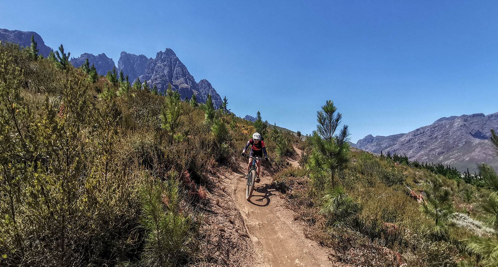 South Africa – Bike Trails & Wine in the Cape Region 