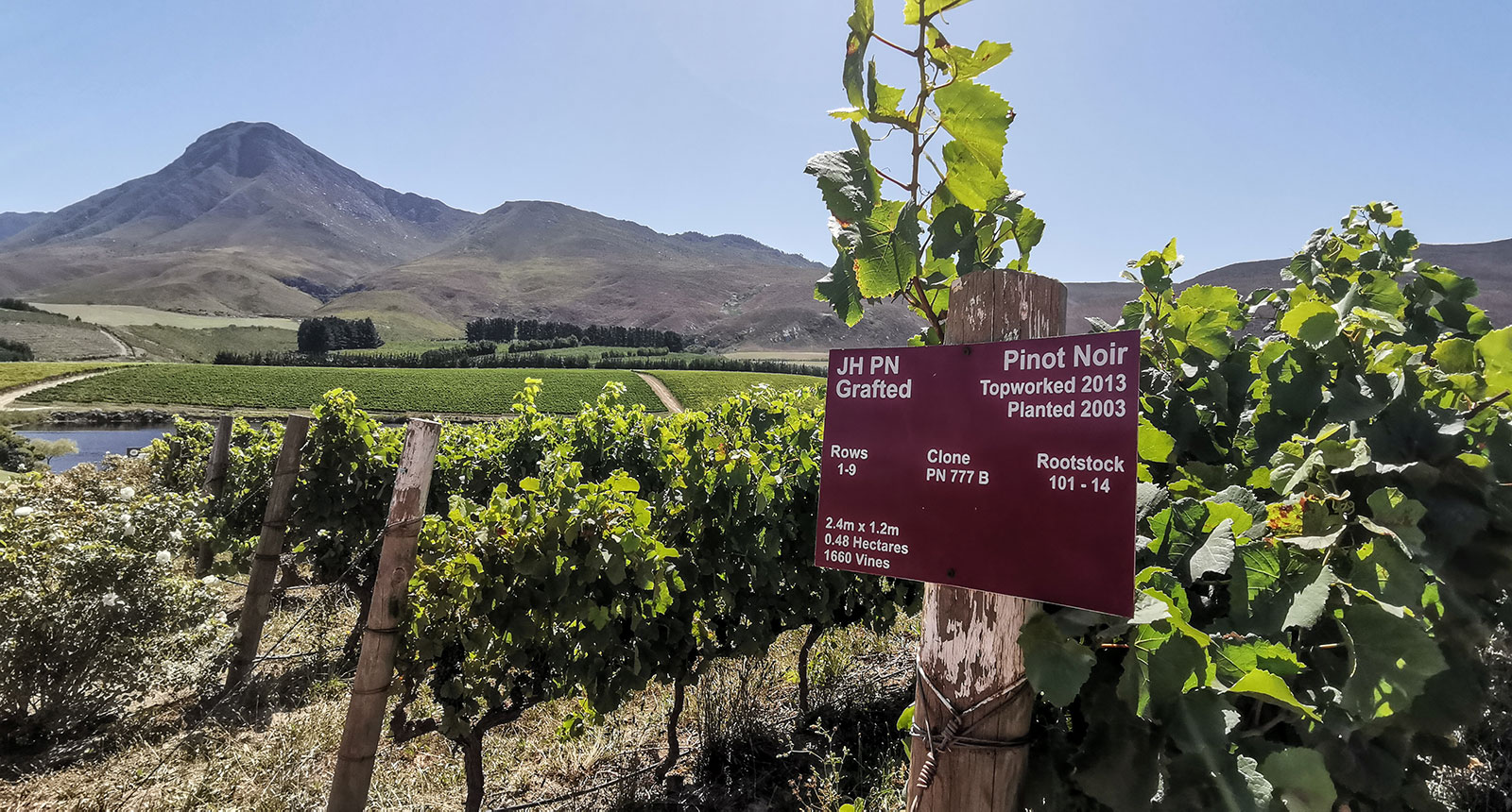 South Africa – Bike Trails & Wine in the Cape Region 