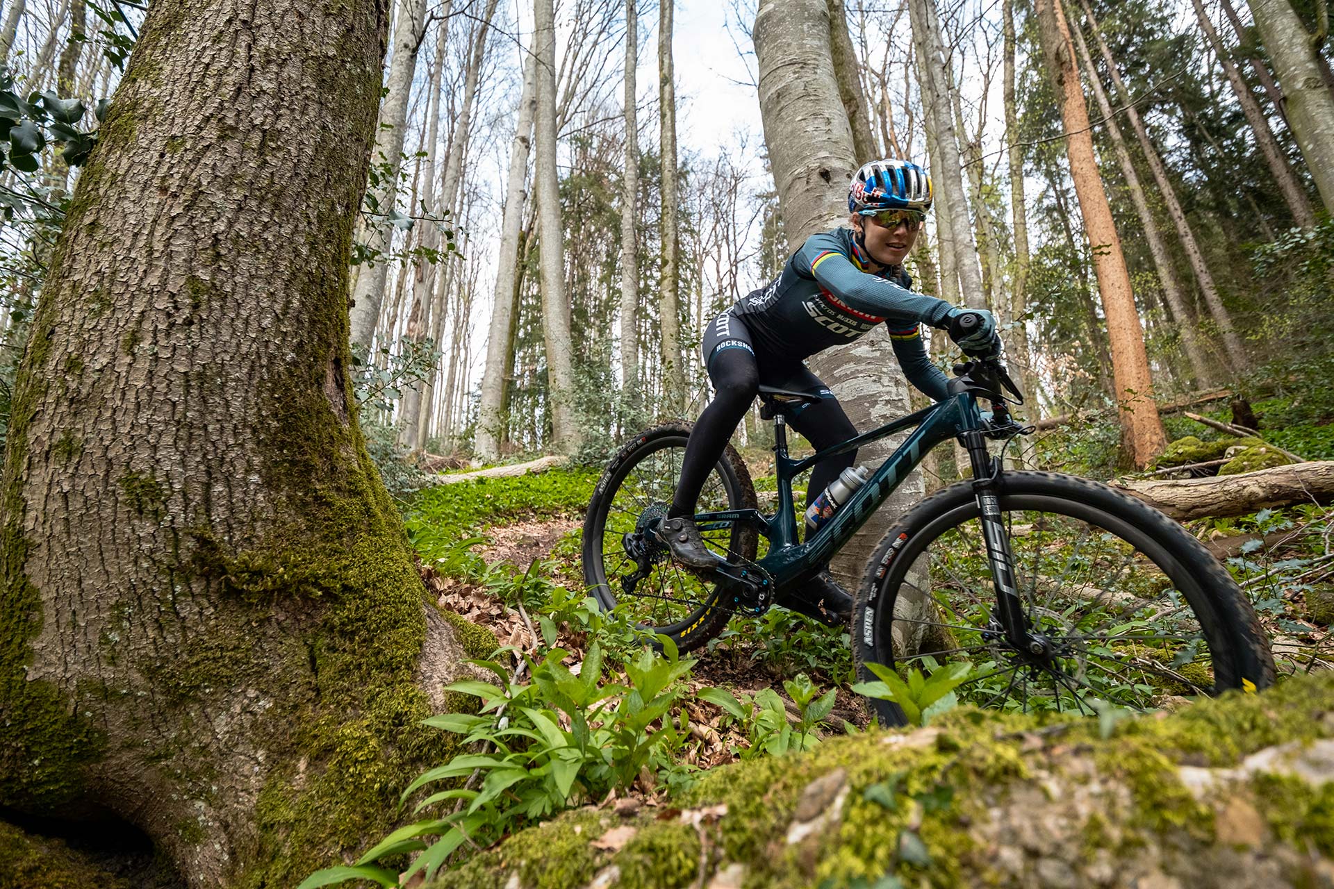 Difference between cross discount country and trail bike